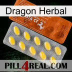 Dragon Herbal 42